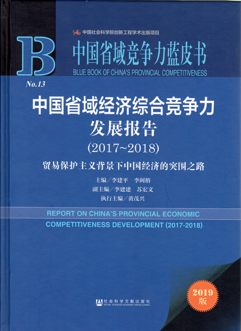 操中国老阿姨这逼中国省域经济综合竞争力发展报告（2017-2018）